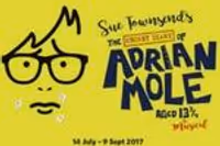 The Secret Diary of Adrian Mole