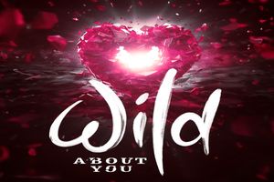 Wild About You Broadway