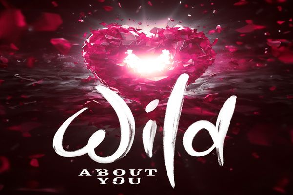 Wild About You Show Information