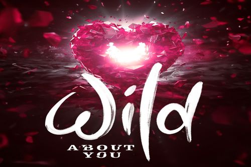 Wild About You