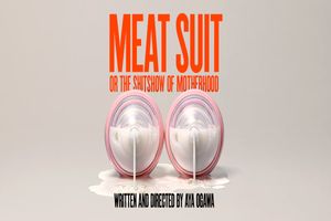 Meat Suit, or the shitshow of motherhood Off-Broadway