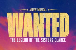 Wanted Broadway Show | Broadway World