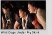 Wild Dogs Under My Skirt
