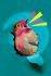 Regretfully, So the Birds Are