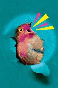 Regretfully, So the Birds Are