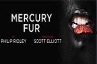 Mercury Fur