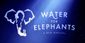 Water for Elephants Show Information