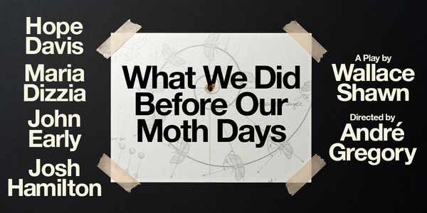 What We Did Before Our Moth Days Show Information