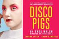 Disco Pigs