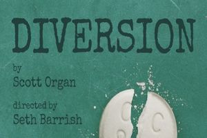 Diversion Broadway Show | Broadway World