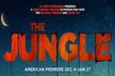 The Jungle