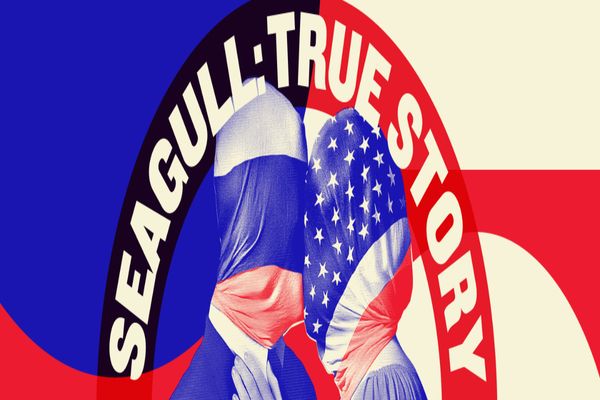 Seagull: True Story Show Information