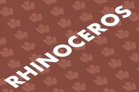 Rhinoceros
