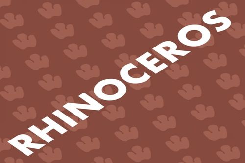 Rhinoceros
