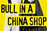 Bull in a China Shop