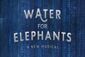 Water for Elephants Show Information