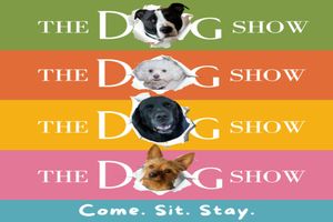 The Dog Show: Come. Sit. Stay Off-Broadway