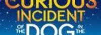 The Curious Incident of the Dog in the Night-Time