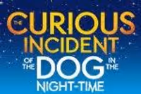 The Curious Incident of the Dog in the Night-Time