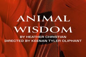 Animal Wisdom Off-Broadway