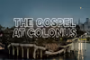 The Gospel at Colonus Show Information