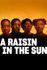 A Raisin in the Sun