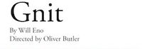 Gnit