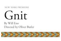 Gnit