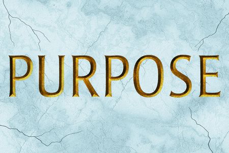 PURPOSE Grosses
