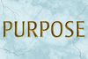 Purpose Show Information