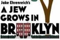 A Jew Grows in Brooklyn