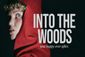 Into the Woods Show Information