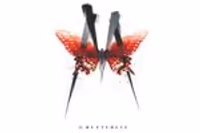 M. Butterfly