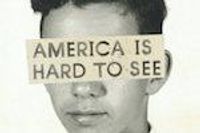 America is Hard to See