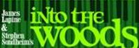 Into the Woods