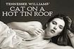Cat on a Hot Tin Roof