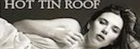 Cat on a Hot Tin Roof