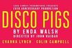 Disco Pigs