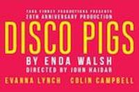 Disco Pigs