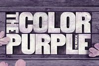 The Color Purple
