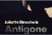 Antigone