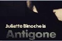 Antigone