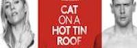 Cat on a Hot Tin Roof