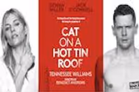 Cat on a Hot Tin Roof