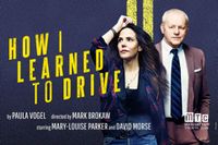 How I Learned to Drive