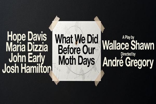 What We Did Before Our Moth Days Show Information
