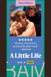 A Little Life