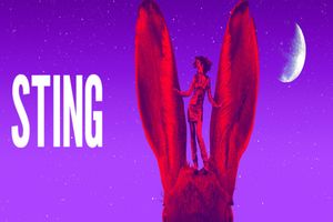 Sting Broadway Show | Broadway World