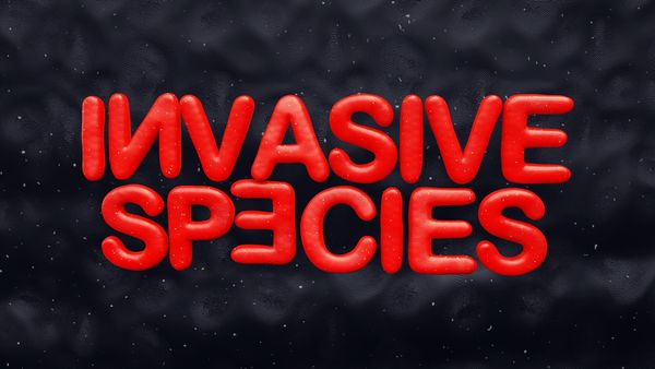 Invasive Species Show Information