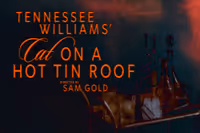 Cat on a Hot Tin Roof